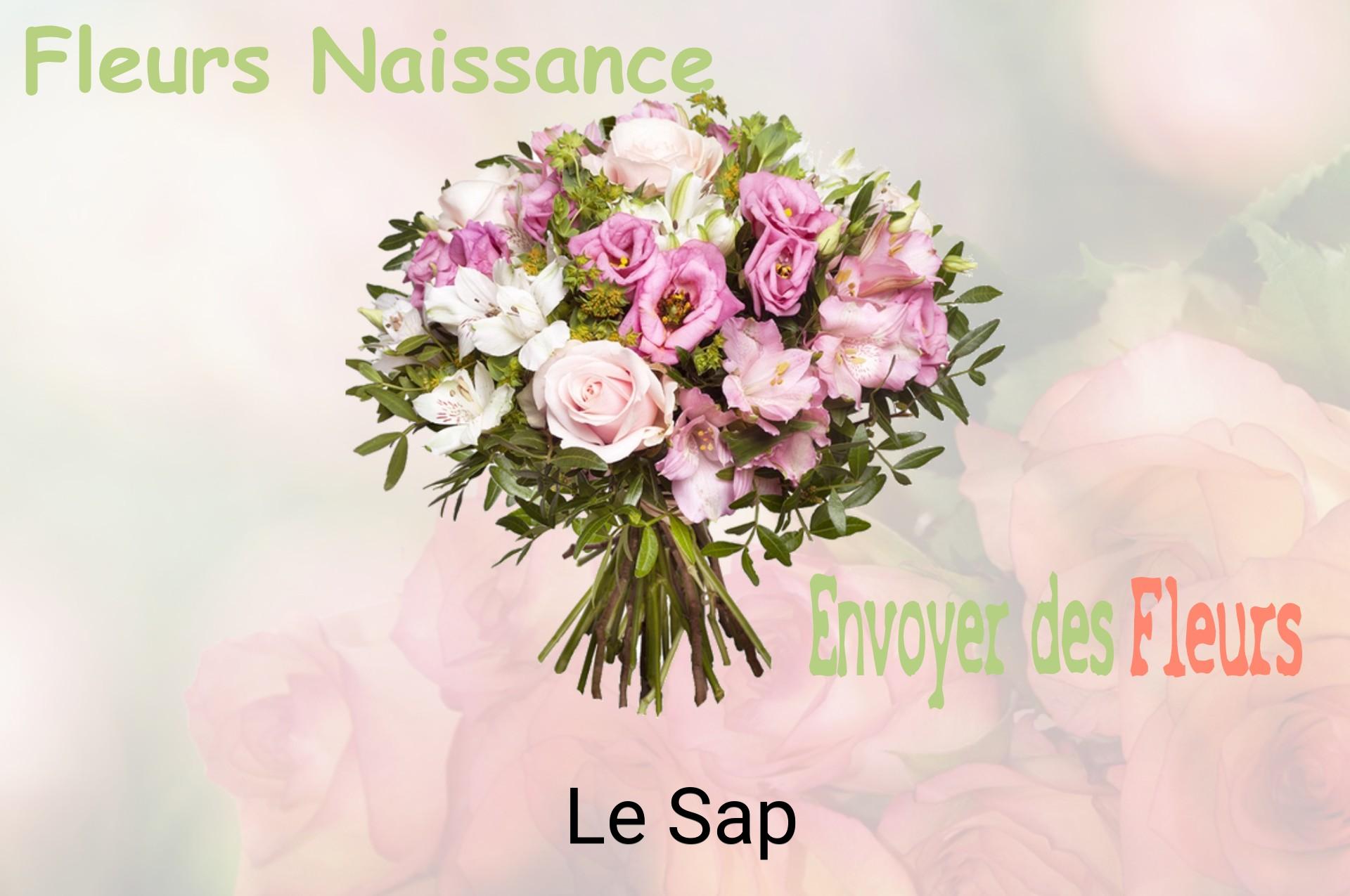 Bouquet de fleurs de naissance livré à Le Sap